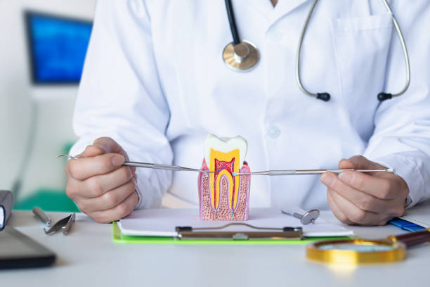 Best Walk-In Emergency Dentist in Homerville, GA